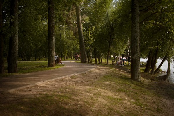 Top Strategies for Effectively Managing Chronic Bronchitis Symptoms